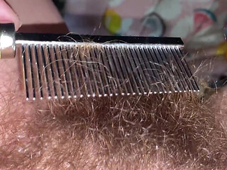 Brushing My Bush