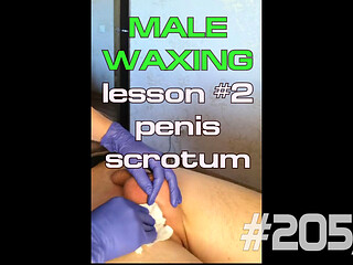 #205(2) Male Waxing. Smooth Penis and Scrotum