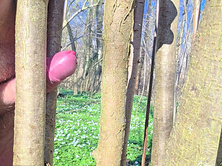 Relaxed Sunday in the forest