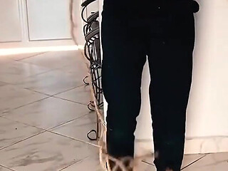 Chubby Boy Cant Escape Our Ropes