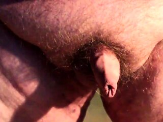 Chubby Guy's Little Joystick Swings Freely