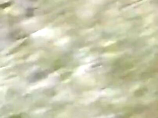 Having Fun in Public