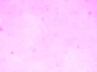 The Unicorns Interview