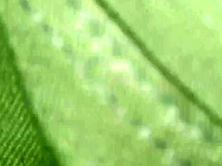 Indian Stepbrother and Stepsister