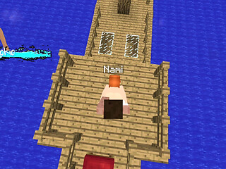 Minecraft Jenny Mod Fapcraft - Nami Is Horny and Has Some Nice Tits and Ass!