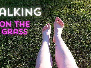Walking with My Feet on the Grass and Showing Them to You up Close