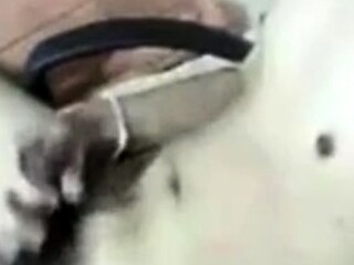 Asian Twink Masturbates on Webcam