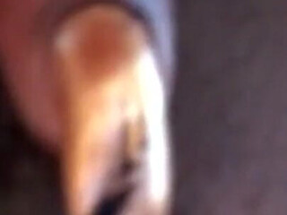 Shaved Ebony MILFs Share Every Hard Cock