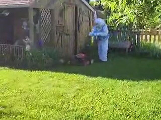 Funny bunny cosplay