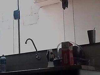 Tidying up the House