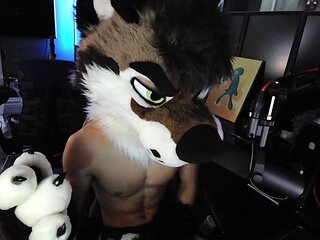 Missionary amateur jerks off gay watches