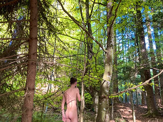Fag wanks on a tree like a monkey