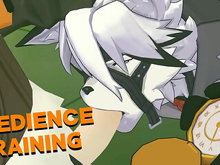 Obedience Training