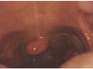 Get Swallowed! Mouth Tour Hd - Close Up (5 Min) Asmr Vore Giantess - Go Deep Down Her Throat!