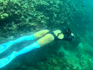 Im Your Little Mermaid