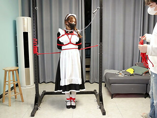 The Maid's Standing Restraints Merged with the Metal Bracket