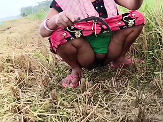 Pee of the Village in Outdoor Field of Paddy Cutting Nomita Boud