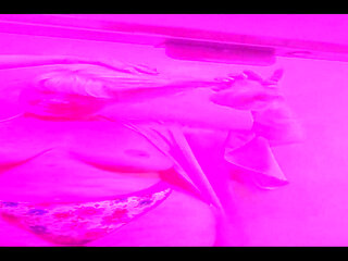 The Start of a Life Lesson Often Feels Good Stay Soft Like a Kitten