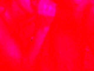 If You Like Blowjobs