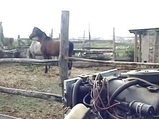 Superb German babe fucked on the farm