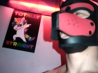 Pup neiko sits on his bone and jerks off