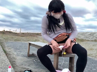 Trainer's Command No. 29: Public Beach Exhibitionism