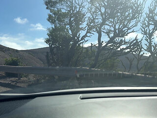 Hot Girl Flashing Natural Tits in Public Compilation