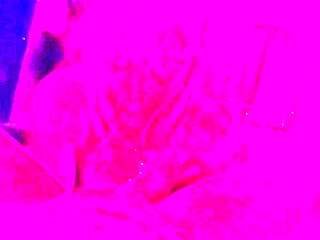 ShesNew Amateur brunette girlfriend POV blowjob handjob