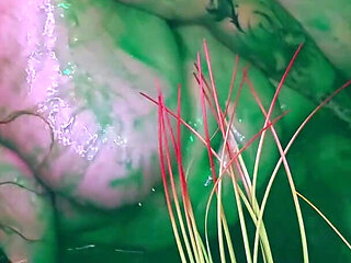 TONIGHT I am releasing one of my last 31 Days of Halloween videos