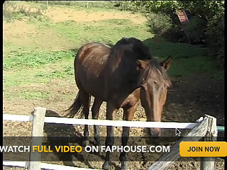 The Anal Desires of a Slut in Heat