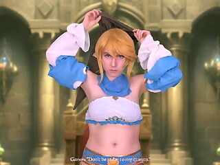 Legend of Zelda: Link'_s Continued Humiliation