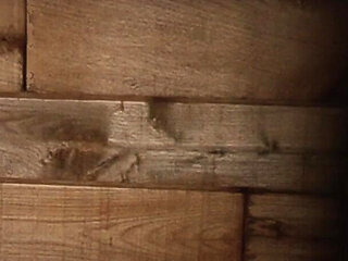 Liam's Cuckold Awakening: My Newlywed Wife Sophia's Vacation with My Best Friends - Part 9