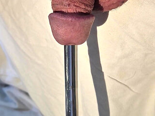 Urethral sound hanging and falling out