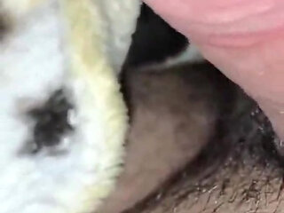 Arab Real First Time Anal Amateur Homemade Couple Fuck My Wife Hard