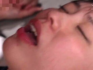 x1x90FC13F55008666449