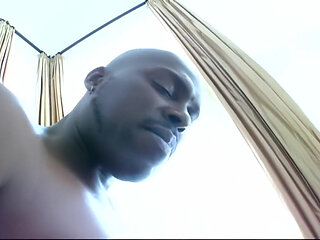 The Black Stallion Strikes Again!!