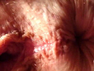 Spreading and Anal Fingering Masturbation Closeup