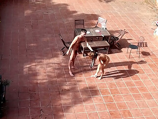 Couple catched fucking in the courtyard