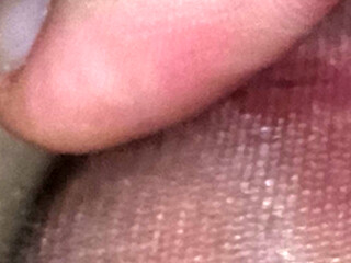 My sissy cock in someone's coffee pantyhose close-up. Precum Leaks out on nylon