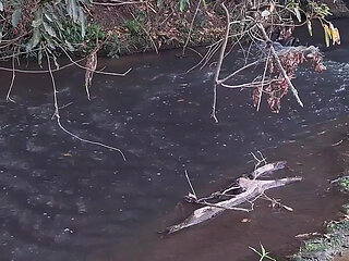A Meeting Between Strangers at the Creek Ends in Unexpected Sex.
