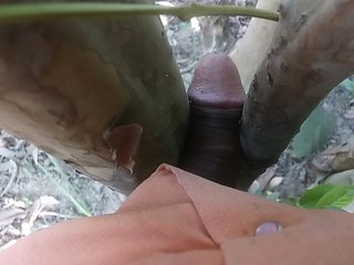 Bachelor's cock from tree Hindi sex video Uttar Pradesh
