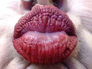 Super duck closeup lipstick red matte