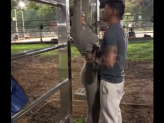 &quot_Olha o macho me fudendo no seu carro, seu corno&quot_ - Personal com pau grande fode a casadinha mais safada do brasil na frente do marido corno apos um treino safado no parque.