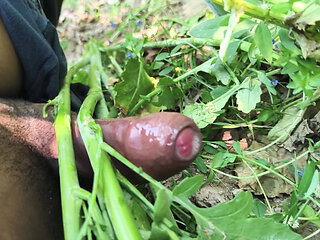 Desi village sarso ke khet me manoranjan