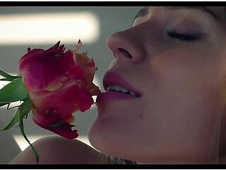 Rose Of Love - Kalisy