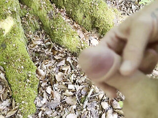 Hot Break in the Forest
