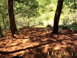 An Oral From My Girlfriend in the Forest