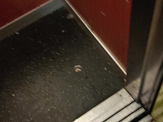 Naked in the assensor