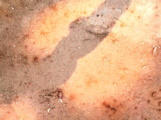 Wild Orgy with Magnificent Babes Lucy Belle & Rubi Diamond - Anal Gangbang DP