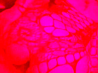 Very hot comadre invites her nephew-in-law to play